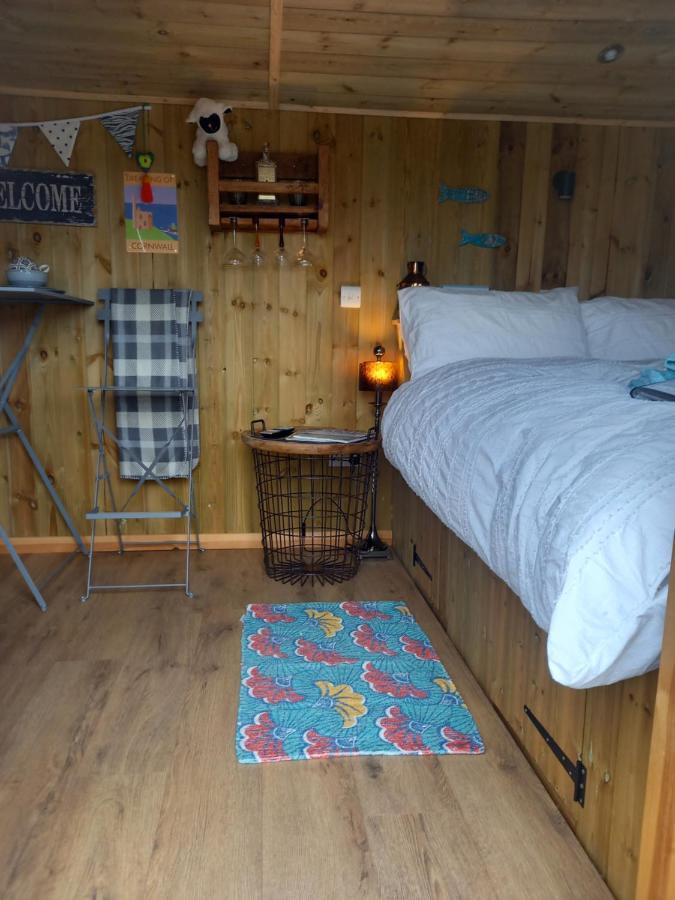 Apartment Stargazy Shepherds Hut St Ives (Cornwall)