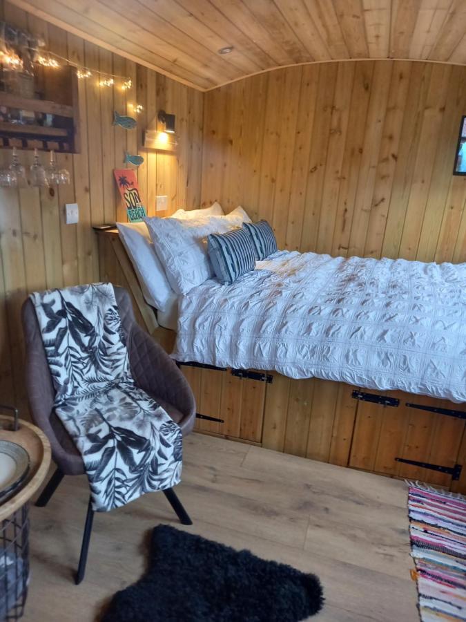 Apartment Stargazy Shepherds Hut